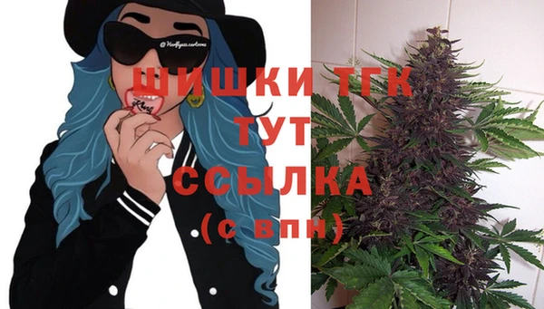 mdma Горняк
