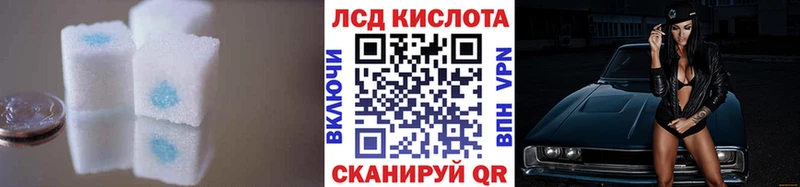 kraken как зайти  Заринск  Лсд 25 экстази ecstasy  shop клад  хочу  