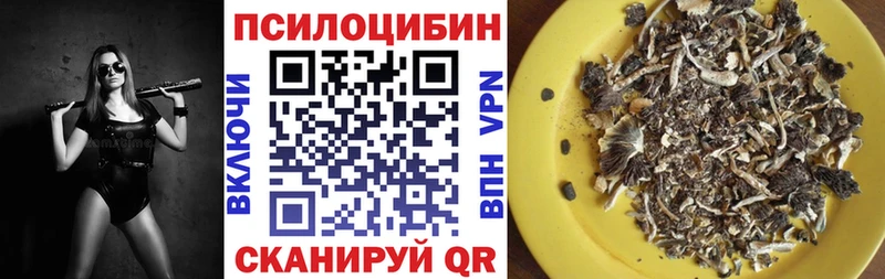 Галлюциногенные грибы GOLDEN TEACHER  Заринск 